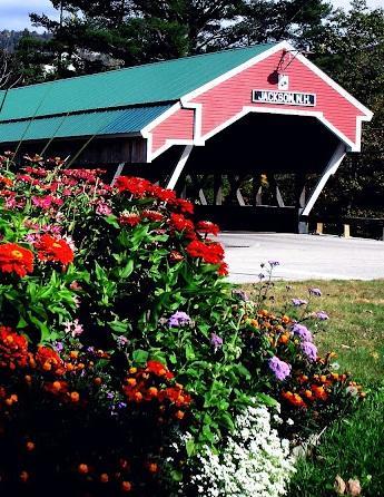 Covered Bridge River View Lodge (Adults Only) Jackson Exteriér fotografie