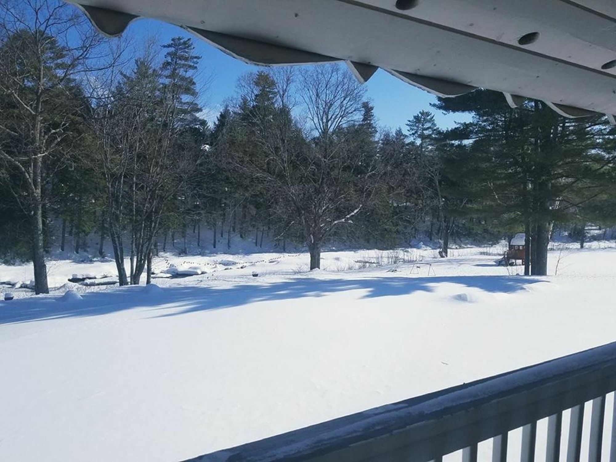 Covered Bridge River View Lodge (Adults Only) Jackson Exteriér fotografie